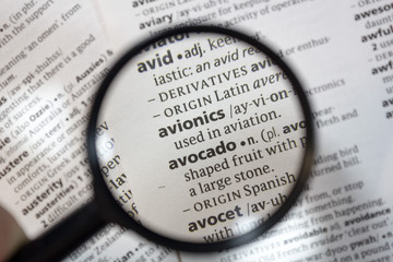 The word of phrase - avionics - in a dictionary.