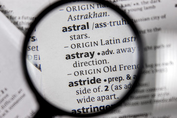 The word or phrase astray in a dictionary.