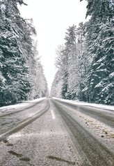 road in winter forest