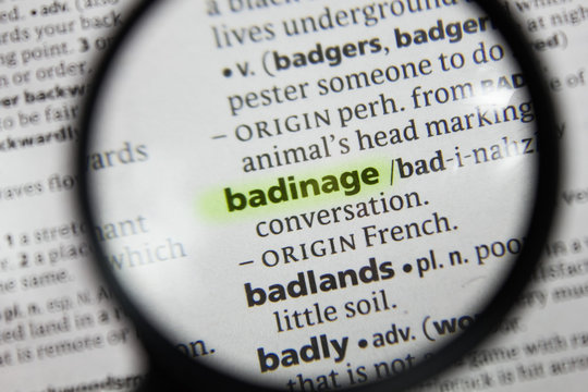 The word or phrase badinage in a dictionary.