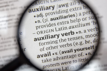 The word of phrase - auxiliary verb - in a dictionary. - 316330619