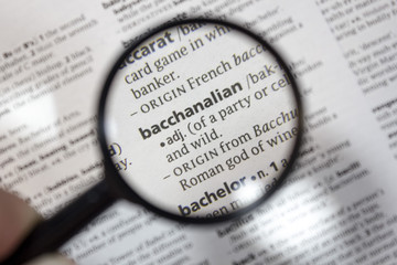 The word of phrase - bacchanalian - in a dictionary.