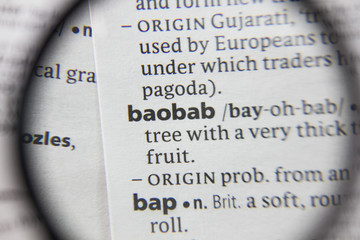 The word or phrase baobab in a dictionary.