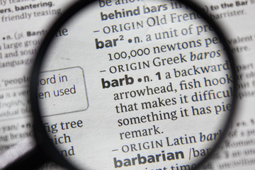 The word or phrase barb in a dictionary.