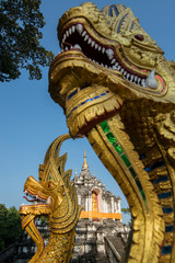 Fototapeta na wymiar THAILAND LAMPHUN WAT PHRA YUEN TEMPLE