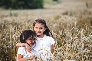 Two adorable little sisters walking happily in wheat field on warm and sunny summer day