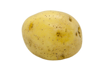 Potato tuber close up isolated on a white background. Fresh vegetables. Item for packaging, scene creator