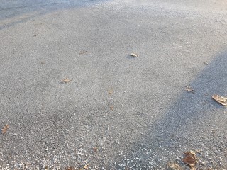 asphalt with pebbles and some leaves