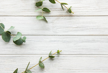 Eucalyptus branches on wooden table