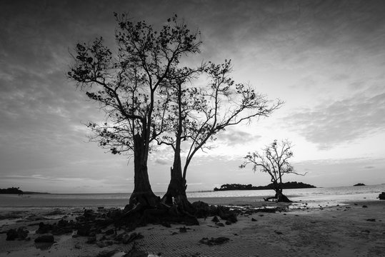 Black White Panorama Photos of wonderful indonesia