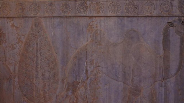 Panning right | People with Camel Relief | Ancient ruins of Persepolis near Shiraz, Southern Iran. This walls's relief shows many things in the past of Persian empire | Silk Road Iran