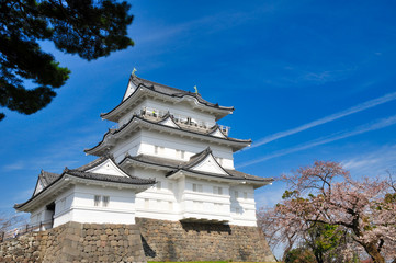 Naklejka premium 小田原城 桜 城 観光 春 