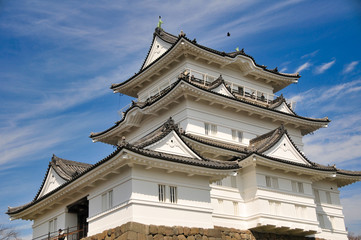 Fototapeta premium 小田原城 桜 城 観光 春 