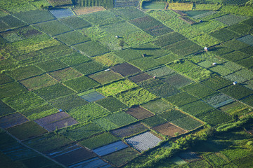 View from above, stunning aerial view of some agricultural fields illuminated at sunrise in Sembalun. Sembalun is situated on the slope of mount Rinjani and is surrounded by beautiful green mountains.