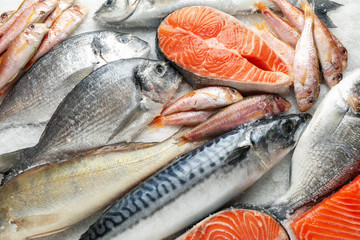 Fresh fish and seafood on ice, closeup