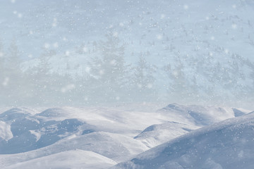 Fototapeta na wymiar Winter landscape with falling snow