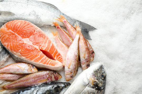 Fresh fish and seafood on ice, flat lay