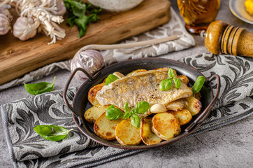 Zander fish grilled