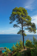 Fototapeta na wymiar Amazing beautiful sea landscape of Greece. View from above at blue transparent sea water and clear sky. Vertical color photography.