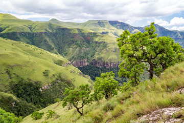 Fototapeta na wymiar View over green trees and mountains, Giants Castle Game Reserve, Drakensberg, South Africa