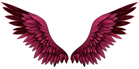 Fototapeta na wymiar Beautiful bright burgundy gradient wings, hand drawn vector
