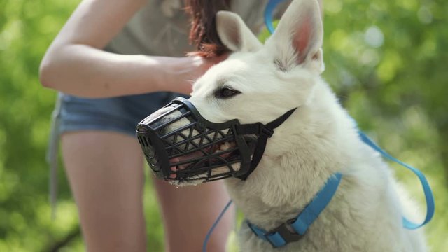 Female owner puts off muzzle from dog in a park.