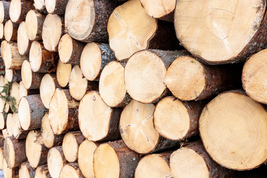 texture pali in legno