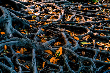 Parque de la ciudad de Sevilla