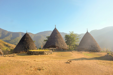Fototapeta na wymiar The authentic pyramid shaped houses in Wae Rebo village Indonesia