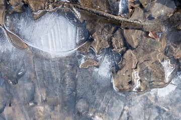 水たまり表面の氷　冬