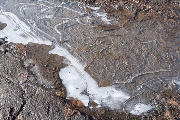 水たまり表面の氷　冬