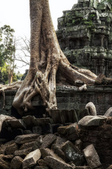Angkor Wat Archaeological Park in Siem Reap, Cambodia UNESCO World Heritage Site