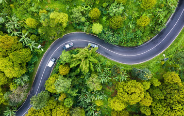 Aerial view on road in the forest. Highway throu the forest. View from a drone. Natural landscape in summer time from air. Travel - image