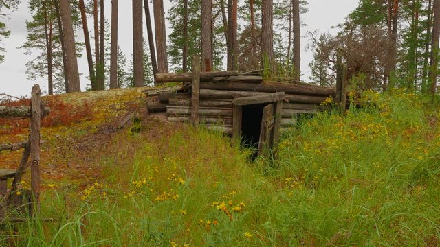 An abandoned hut of poachers in the forest of Karelia (Russia). Gloomy rainy autumn day.