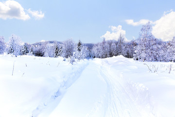 Winter forest against mountains on a bright sunny day