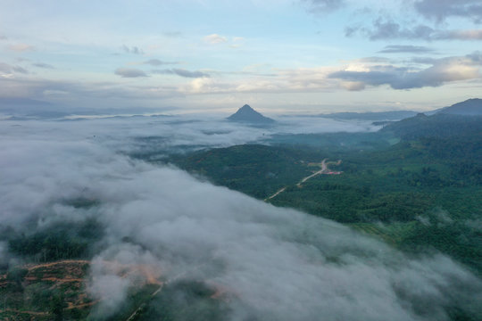 Aerial view misty and foggy morning at the Imbak Village in Tongod, Sabah, Malaysia, Borneo. Certain part with rainforest jungle and palm oil plantation.