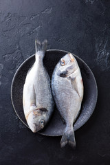 Raw fish dorado on a plate. Black stone background. Top view.