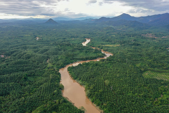 Aerial view of the wild river with the old wooden bridge connecting between two mainland in Kampung Imbak, Tongod, Sabah, Malaysia, Borneo.