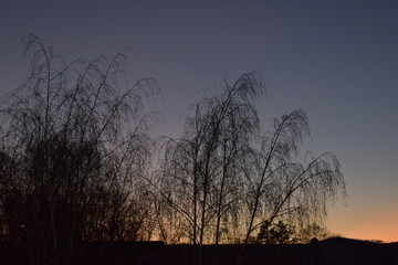 Fototapeta premium coucher de soleil