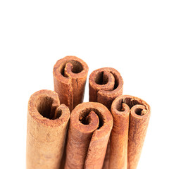 Cinnamon sticks isolated on white background, close-up view