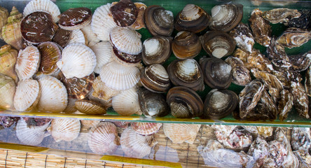 Fresh scallops and clams being displayed in tanks for sale