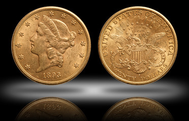 United States 20 dollars gold coin 1893