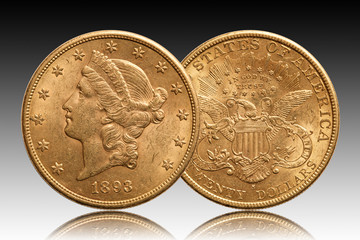 United States 20 dollars gold coin 1893