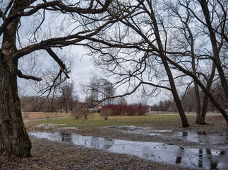 Flooded walkway in a city park among trees in cloudy weather