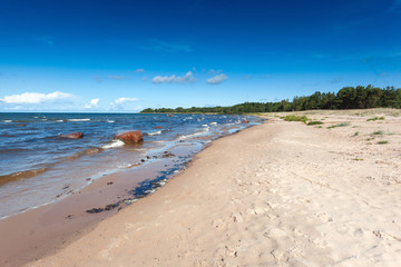 Fototapeta na wymiar The coast in Hara, Lahemaa National Park, Estonia