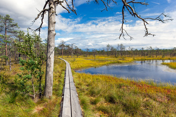 Viru bog in Lahemaa National Park, Estonia