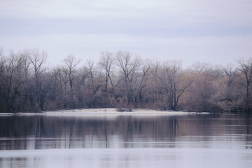 Landscape with lake and trees in winter.