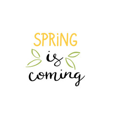 Hand written Spring is comong phrases in color. Greeting card text templates. Hello Spring lettering in modern calligraphy style. Spring wording. Brush Pen lettering Spring is comong.