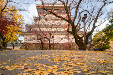 秋の小倉城