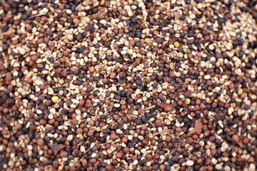 organic dry coffee seed, uncooked coffee beans